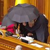 Литвин: Оснований распускать Раду нет