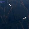 В Мексиканском заливе разрастается нефтяное пятно