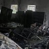В Бразилии пожар уничтожил крупнейшую в мире коллекцию змей и пауков