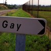 В Малави мужчин осудили за гомосексуализм