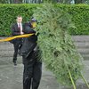 Упавший на Януковича венок выставили на аукцион