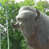 Минприроды расследует гибель животных в киевском зоопарке