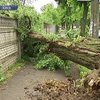 100 населенных пунктов Украины остались без электричества из-за непогоды