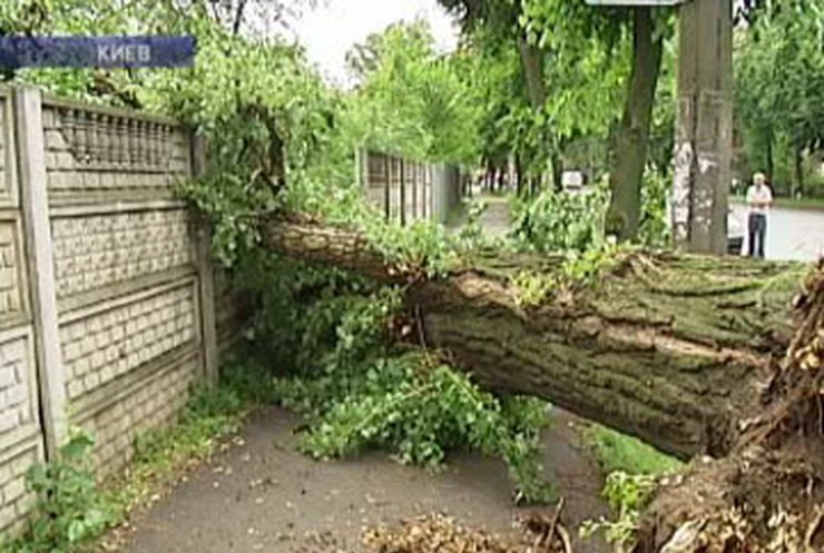 100 населенных пунктов Украины остались без электричества из-за непогоды