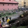 Шуфрич взялся спасать Львов