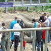 Что на самом деле происходит в Киевском зоопарке?