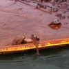 Утечку нефти в Мексиканском заливе остановят через несколько месяцев