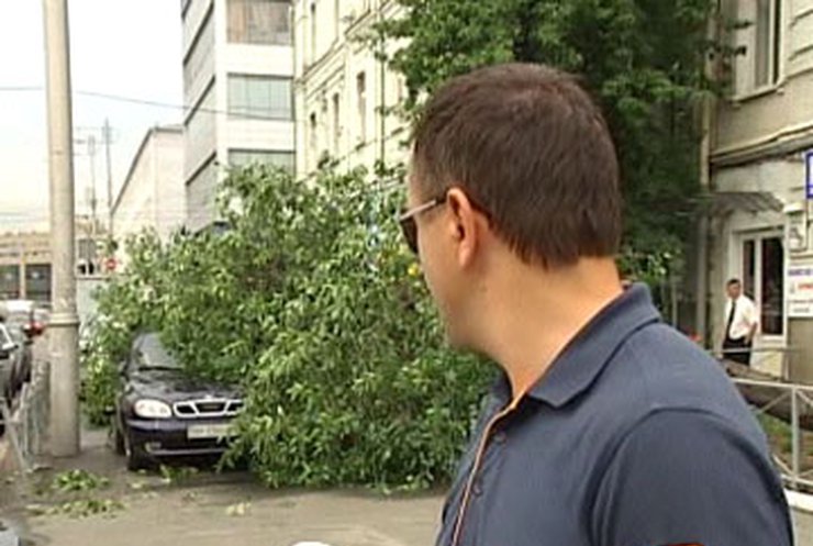 В Киеве более сотни машин пострадало от шквала