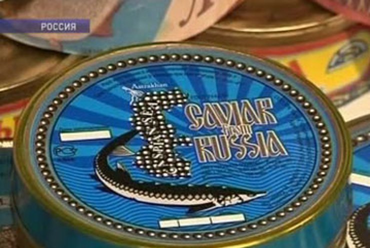 В России может закончиться черная икра