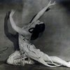 На 102-м году жизни скончалась известная балерина Марина Семенова