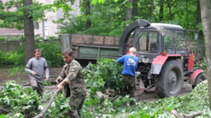 Харьковских защитников парка признали "узниками совести"