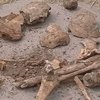 В центре Луганска на месте кладбища построят развлекательные заведения