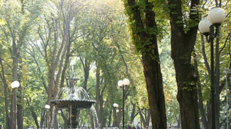 В Киеве появилась реклама на листьях деревьев