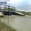 На Дунае критическая ситуация: Дамбу может прорвать