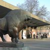 Берзина снова руководит Киевским зоопарком