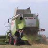 Украина соберет меньше зерна, чем планировалось