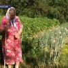 Россия страдает от аномальной жары