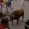 Получили ранения 9 испанских любителей забегов с быками