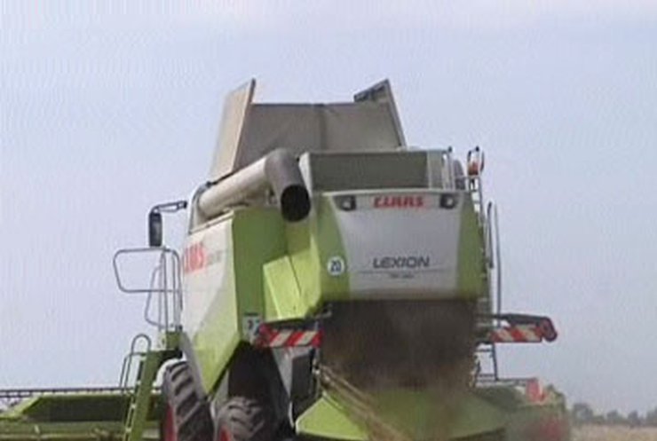 Украина соберет меньше зерна, чем планировалось