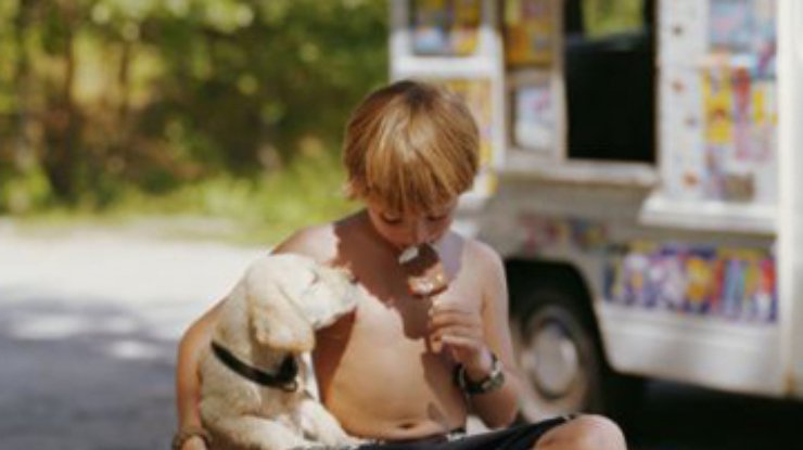 В британских парках собак кормят специальным мороженым