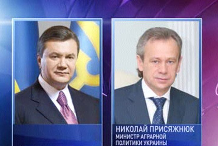 Янукович хочет сформировать региональные продовольственные резервы