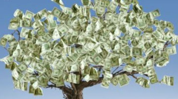 В Австралии появилось "денежное дерево"