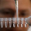 В США ДНК-тесты названы недостоверным источником информации