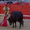 В Каталонии запретили проводить бои с быками