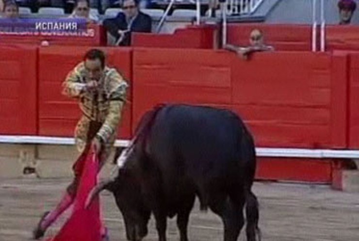 В Каталонии запретили проводить бои с быками