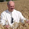 Лукашенко согласен подсобить России зерном