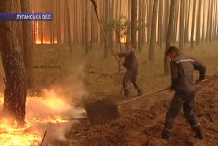Лесной пожар в Луганской области локализован