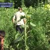 В Запорожской области медработник руководил торговлей наркотиков