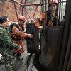В Китае взорвалась шахта