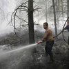 Площадь лесных пожаров в России уменьшилась
