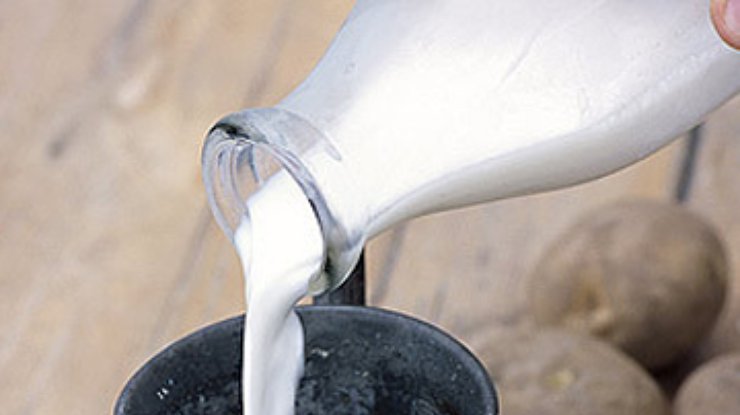 В Британии расследуют факт продажи "клонированного" молока