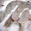 Украина готовится запретить опасную рыбу из Китая