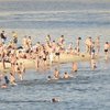 На киевских пляжах вскоре запретят купаться