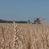 Европе угрожает серьезный спад сельхозпроизводства