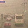 Количество жертв лесных пожаров в России достигло 48 человек