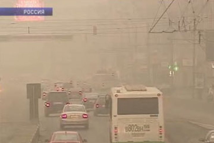 Количество жертв лесных пожаров в России достигло 48 человек