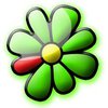 Впервые опубликованы данные о рентабельности ICQ