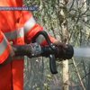 Под Павлоградом охвачено пламенем десять гектаров леса