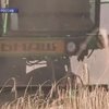 Россия временно прекратит поставки зерна за границу