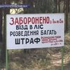 В Днепропетровской области запрещено посещение лесов