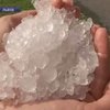 Во Львове жители наблюдали снег среди лета