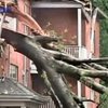 Дождь вызвал хаос в Вашингтоне