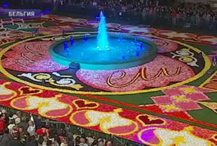В Брюсселе плетут грандиозный цветочный ковер