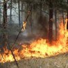 Уровень пожароопасности в Украине остается очень высоким