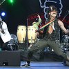 Gogol Bordello опровергли слухи об участии в "Евровидении-2011"