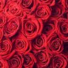 В Китае жених подарил невесте 99999 алых роз